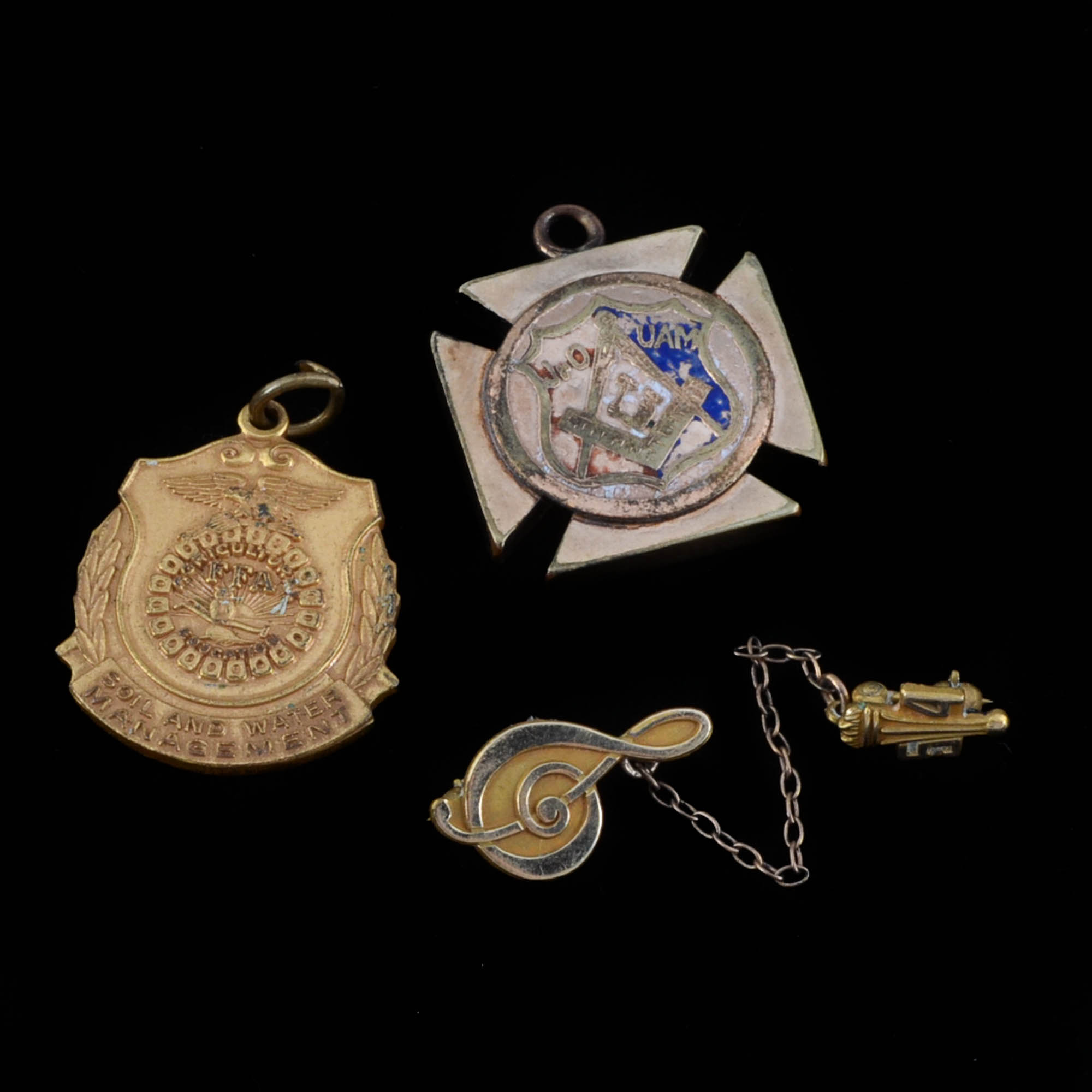 Two Pendants and a Pin