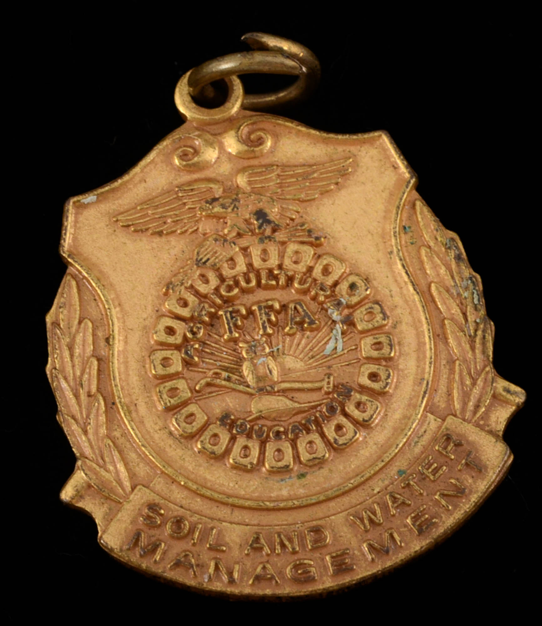 Two Pendants and a Pin