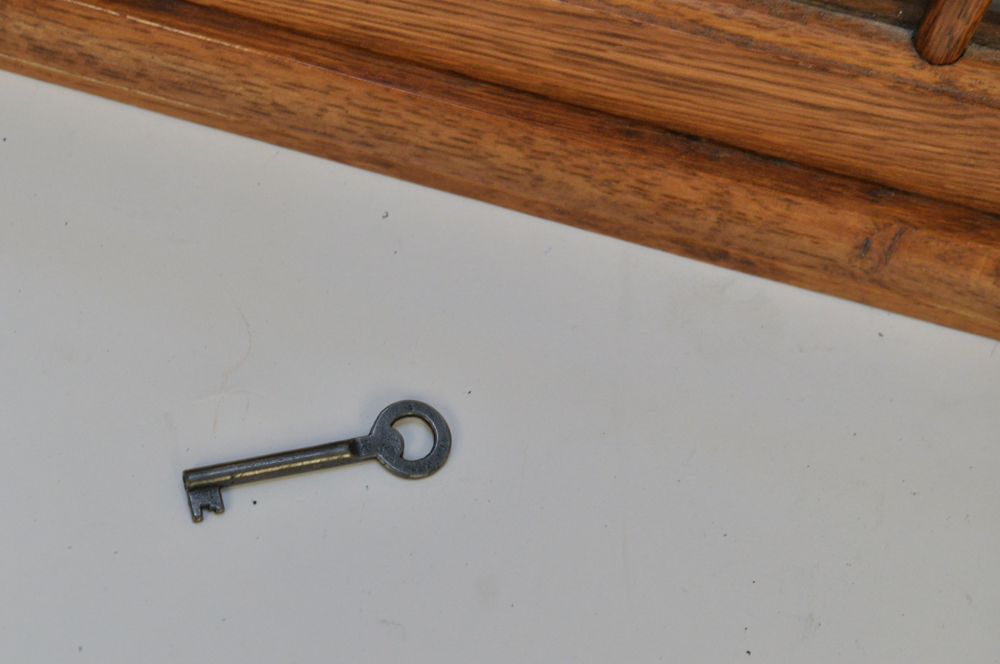 Wall Hanging Display Cabinet