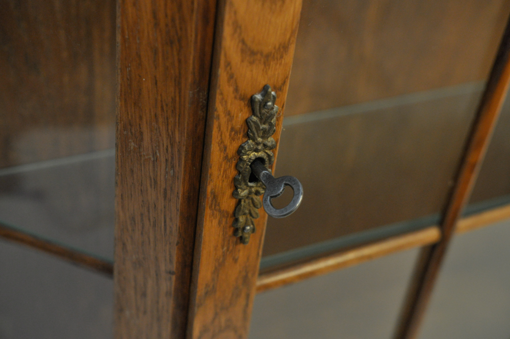 Wall Hanging Display Cabinet