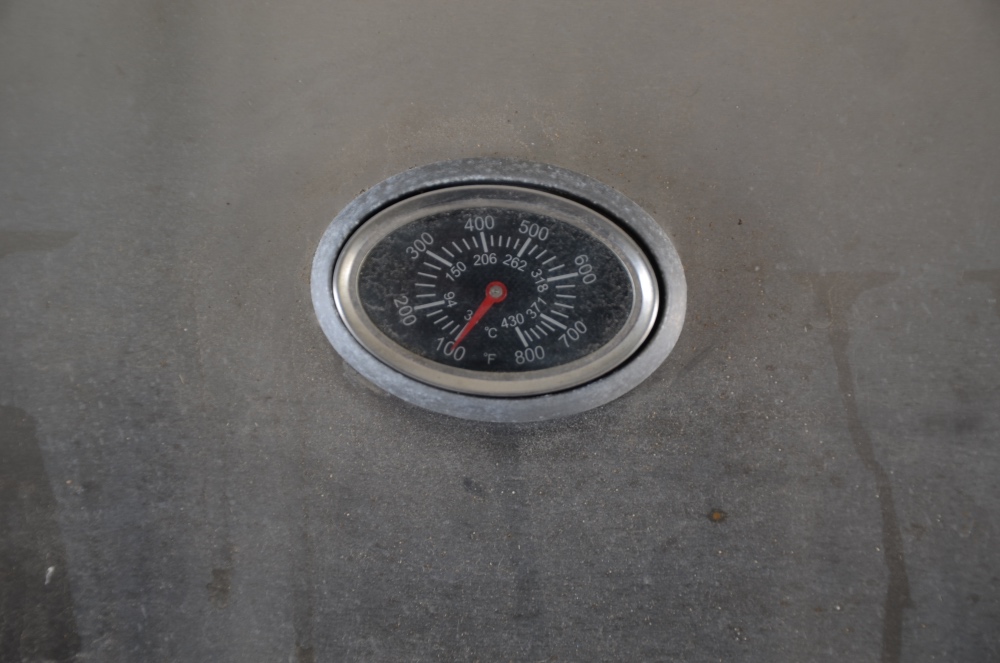 M Professional Stainless Steel Gas Grill with Cover