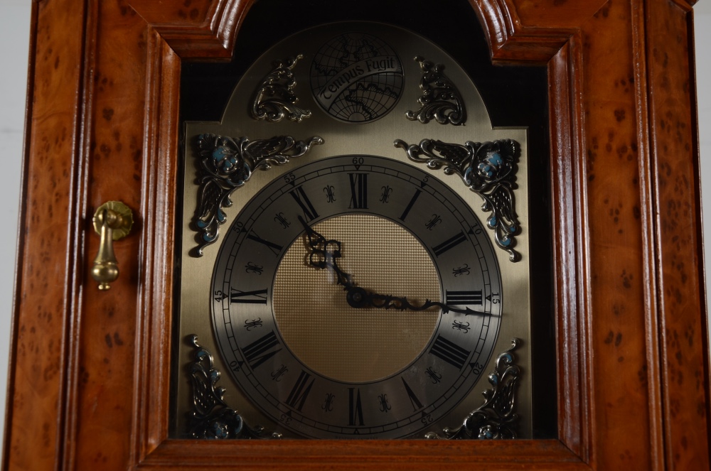 Tempus Fugit European Style Grandfather Clock