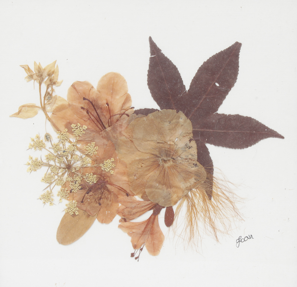 Framed Vintage Pressed Floral Artwork