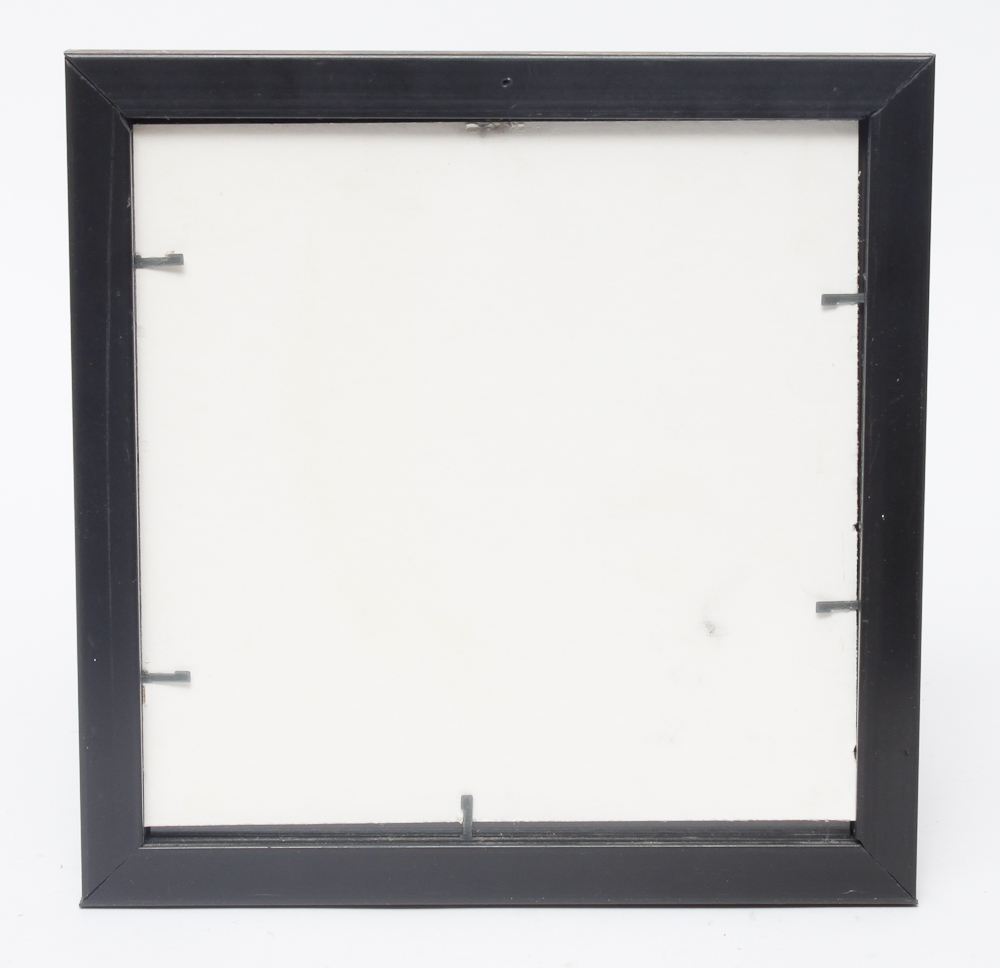 Framed Vintage Pressed Floral Artwork