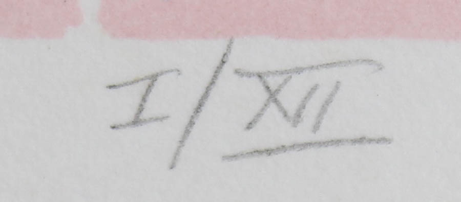 Photo Offset Lithograph after "Big Cypress Swamp" by Maggie Davis