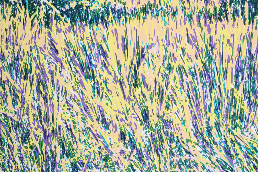 Photo Offset Lithograph after "Big Cypress Swamp" by Maggie Davis