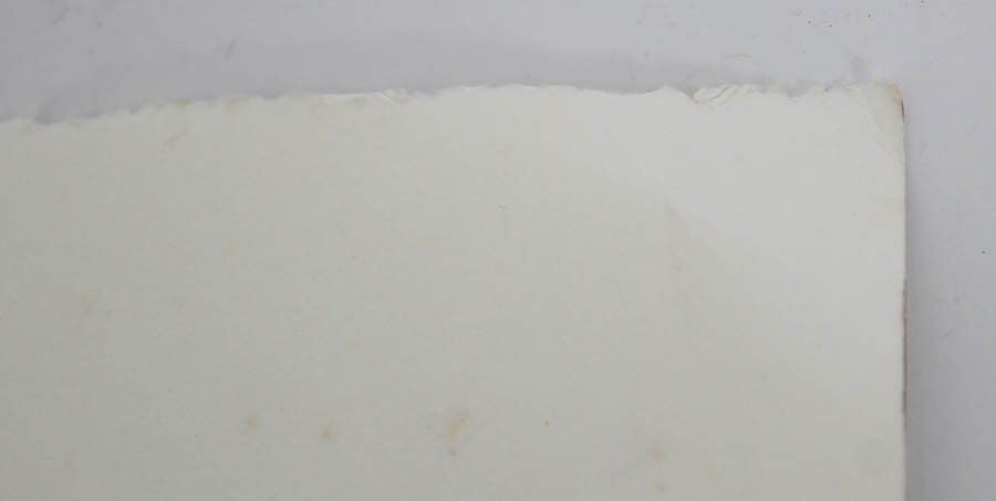 Photo Offset Lithograph after "Big Cypress Swamp" by Maggie Davis