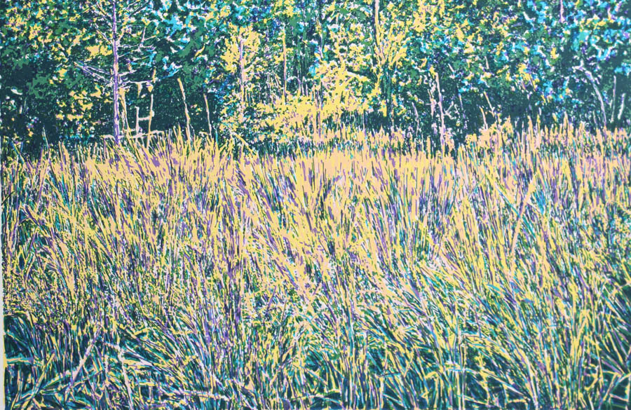 Photo Offset Lithograph after "Big Cypress Swamp" by Maggie Davis