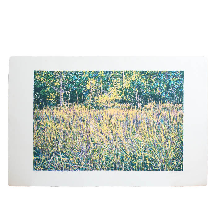 Photo Offset Lithograph after "Big Cypress Swamp" by Maggie Davis