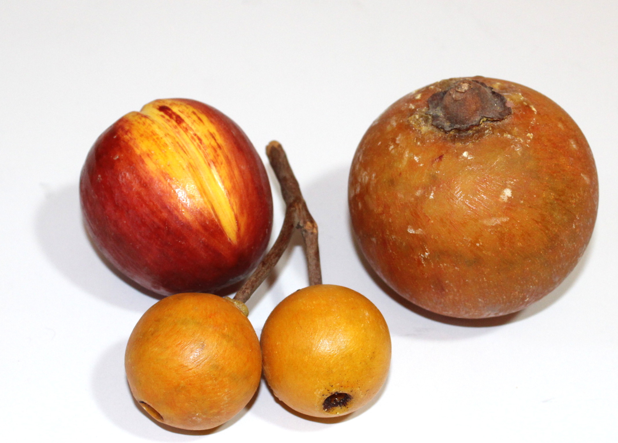 Collection of Stone Fruits From Italy