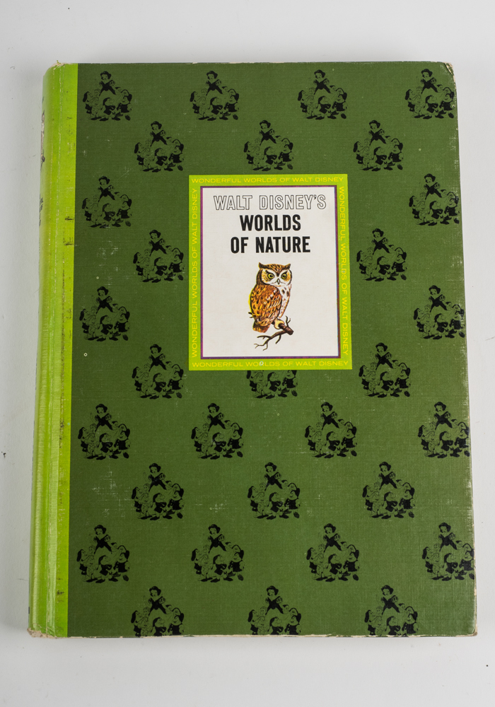 The Wonderful Worlds of Walt Disney Boxed Book Set