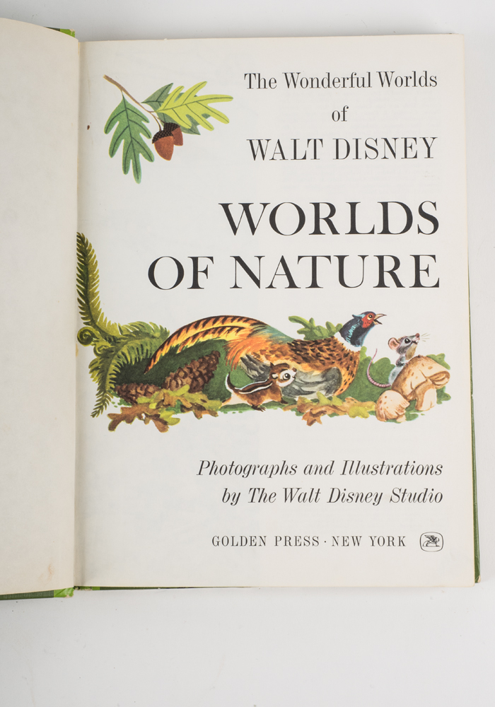 The Wonderful Worlds of Walt Disney Boxed Book Set