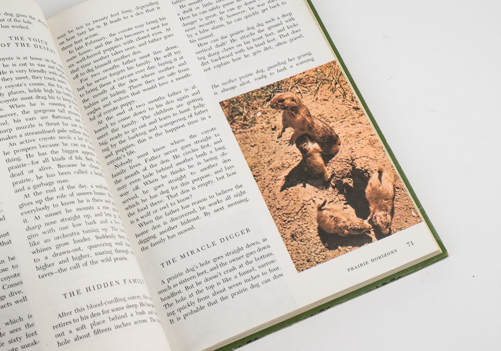 The Wonderful Worlds of Walt Disney Boxed Book Set