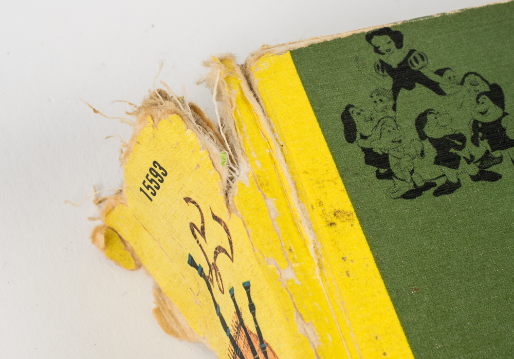 The Wonderful Worlds of Walt Disney Boxed Book Set