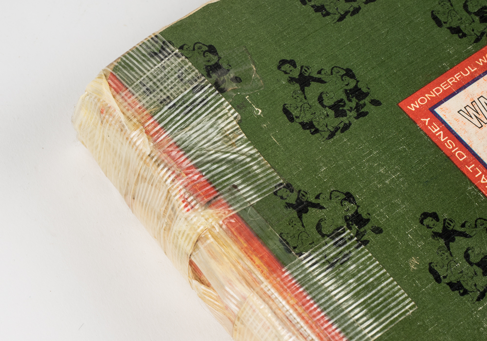 The Wonderful Worlds of Walt Disney Boxed Book Set