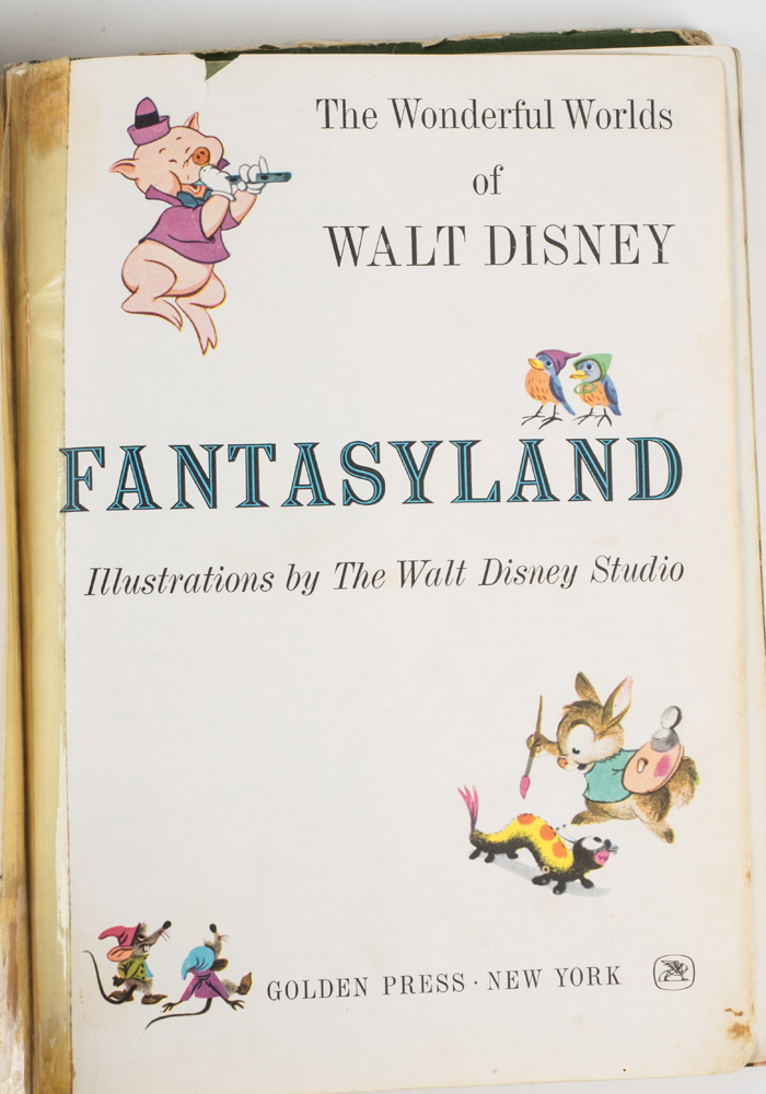 The Wonderful Worlds of Walt Disney Boxed Book Set