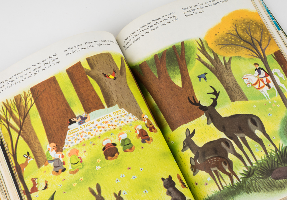 The Wonderful Worlds of Walt Disney Boxed Book Set