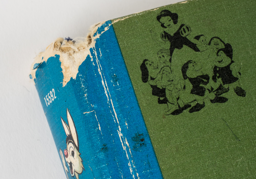 The Wonderful Worlds of Walt Disney Boxed Book Set