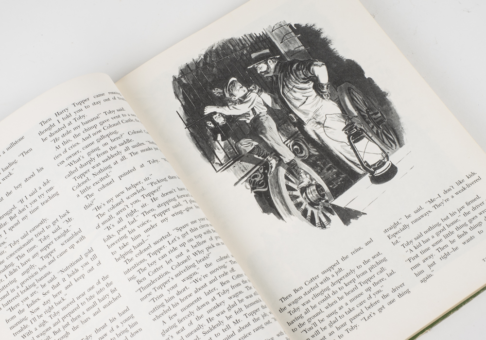 The Wonderful Worlds of Walt Disney Boxed Book Set