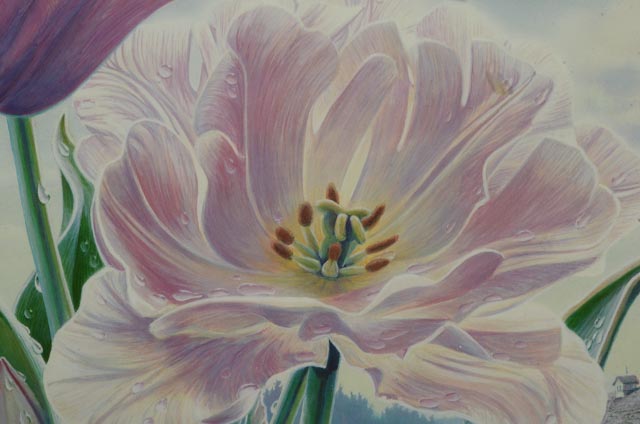 1991 Skagit Valley Tulip Festival Poster