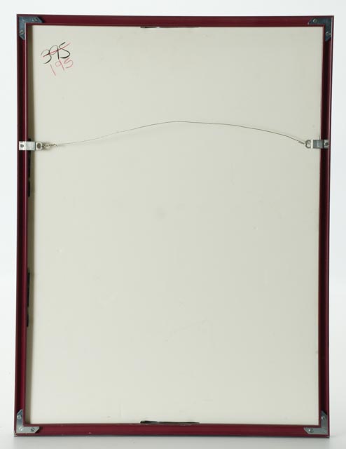 1991 Skagit Valley Tulip Festival Poster