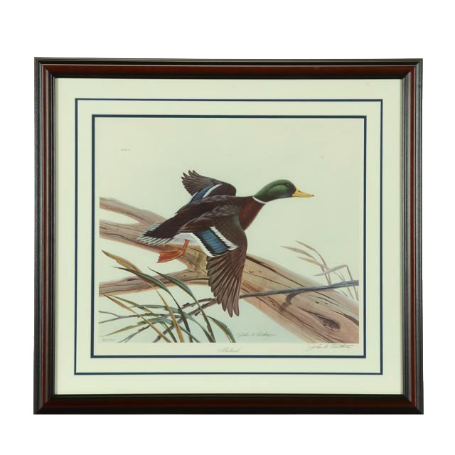 John Ruthven Signed Limited Edition Print "Mallard"