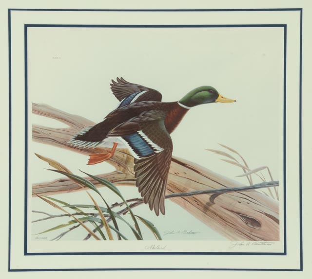 John Ruthven Signed Limited Edition Print "Mallard"