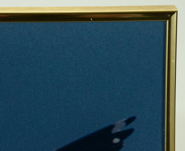 W.F. Schildman Photograph of Seagull