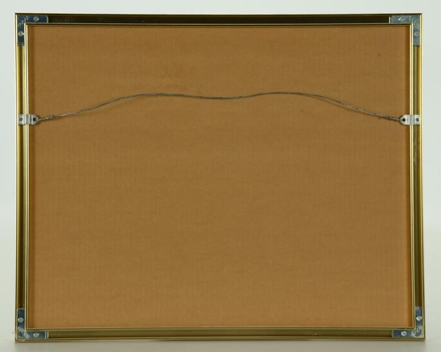 W.F. Schildman Photograph of Seagull