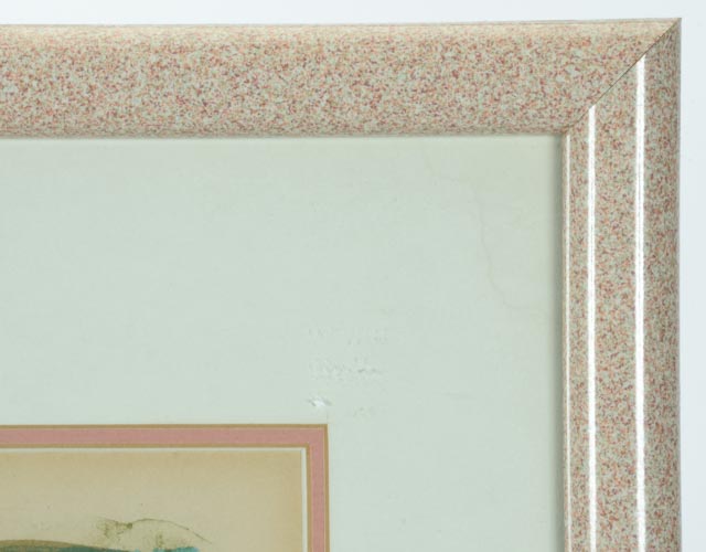 Vintage 1971 Signed Limited Edition Color Lithograph