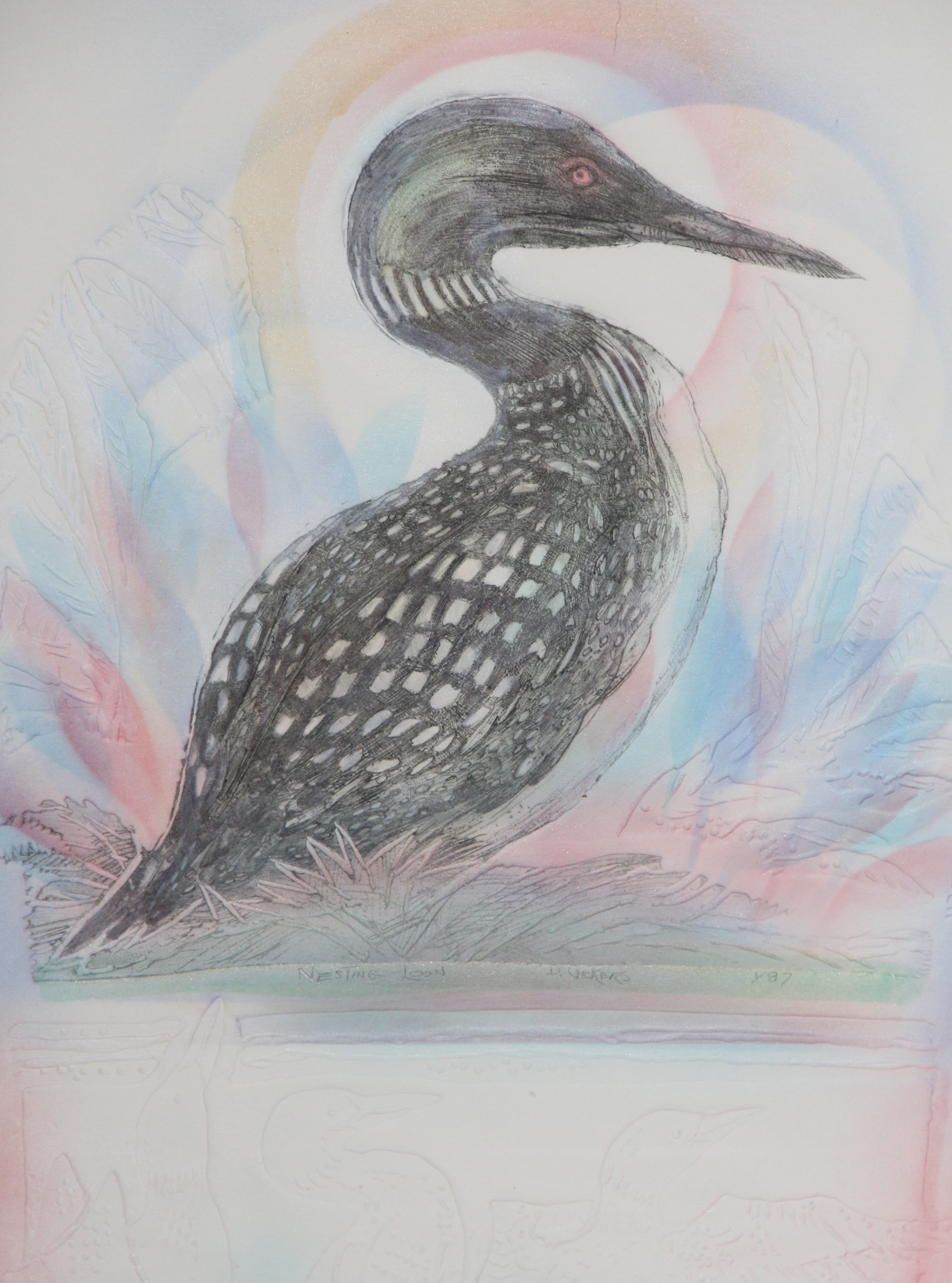 Pair of Mixed Media by D. Vickers