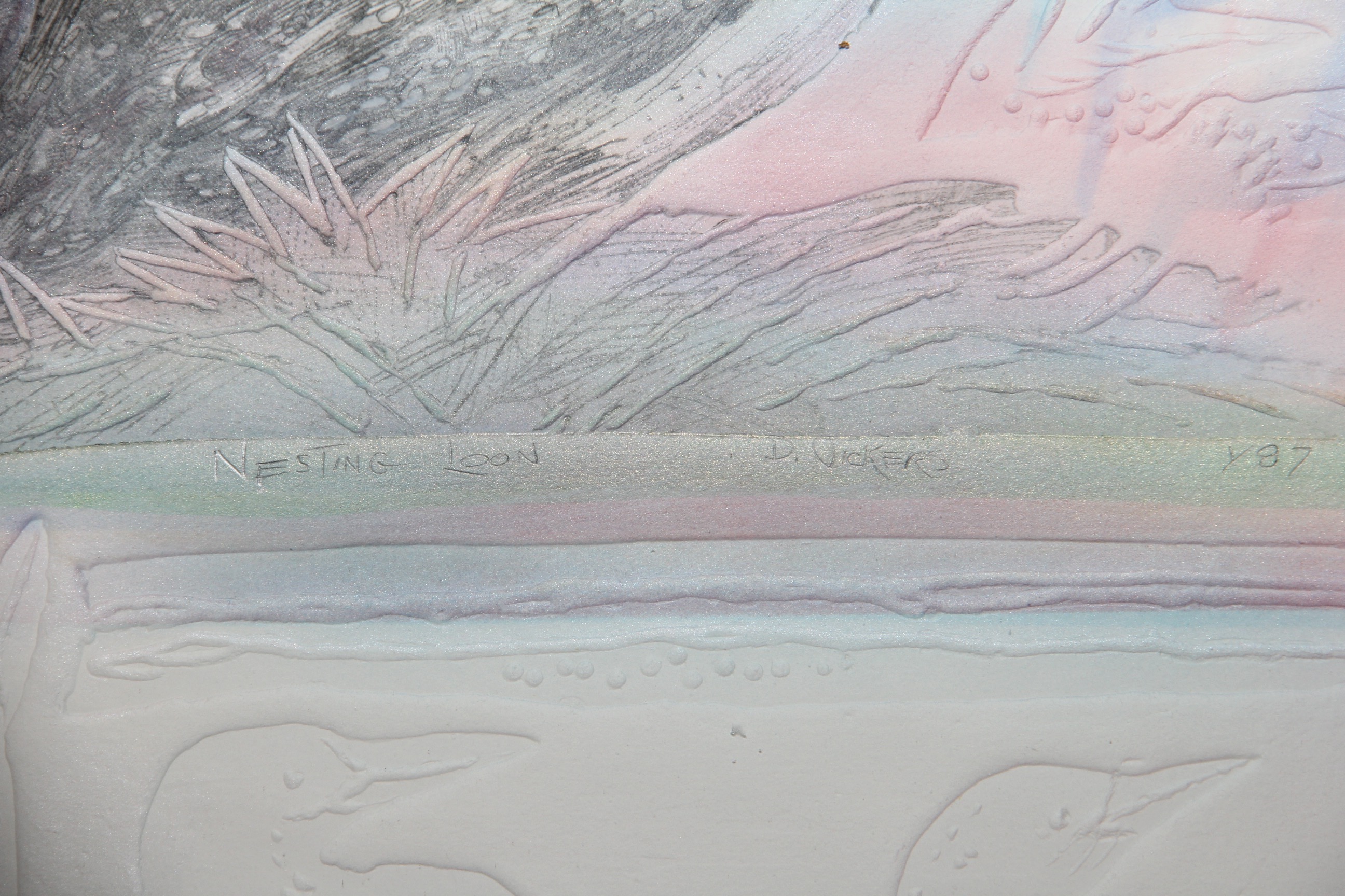 Pair of Mixed Media by D. Vickers