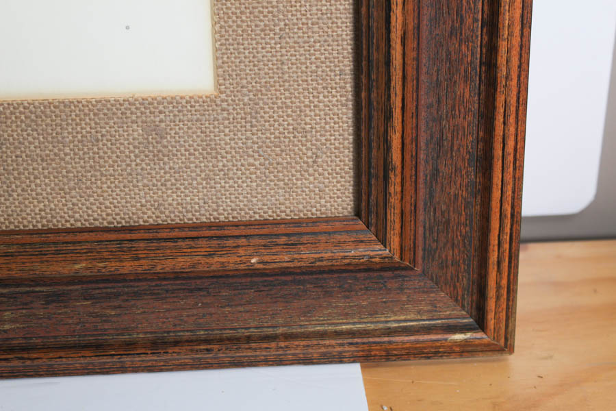 Framed Photo Offset Lithograph after "Bengal Tiger"