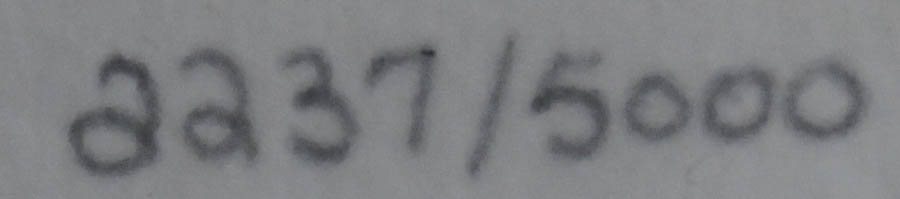 Framed Photo Offset Lithograph after "Bengal Tiger"