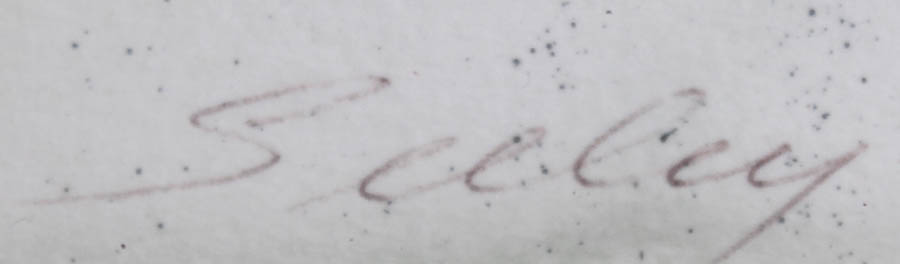 Framed Lily Flower Paintings