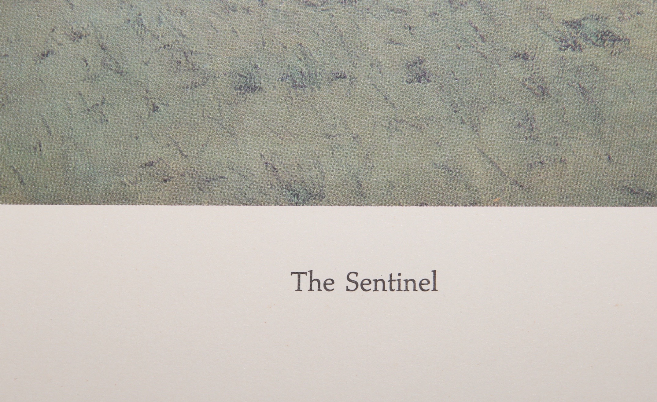 Offset Lithograph After Frederic Remington's 1907 Painting "The Sentinel"