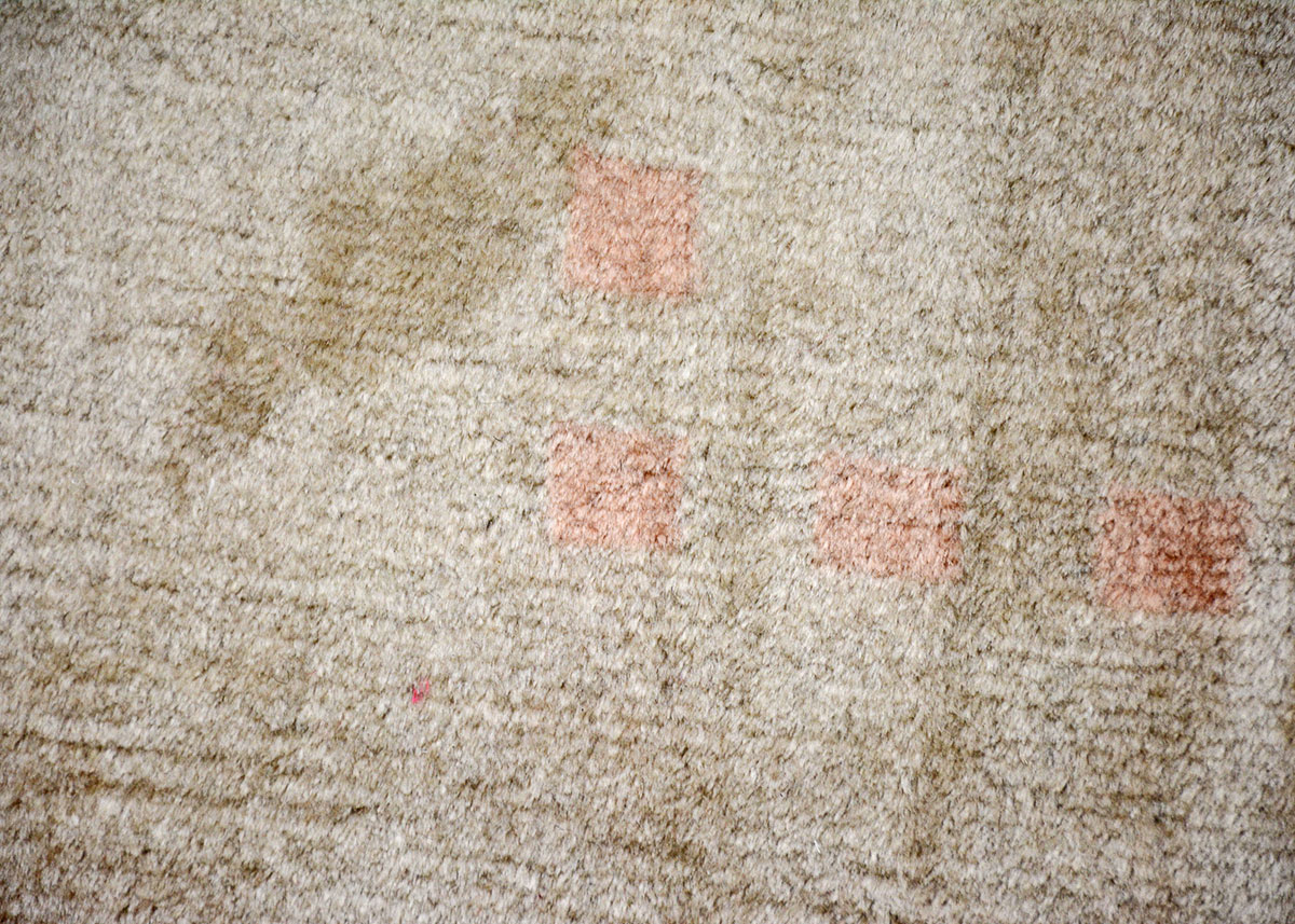 Small Hand Knotted Hamadan Rug