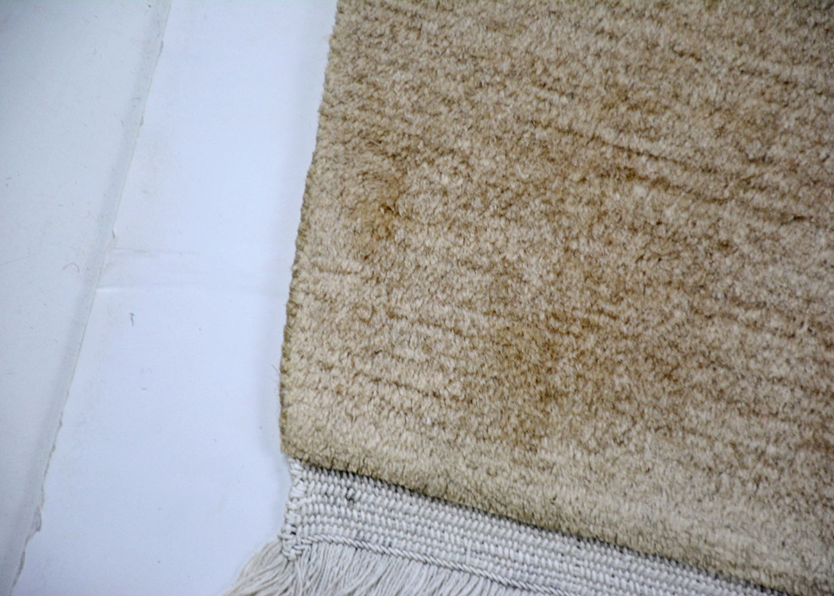 Small Hand Knotted Hamadan Rug