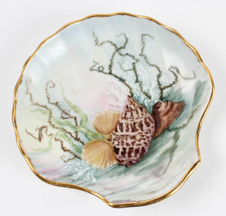 Collection of Decorative Seaside Items