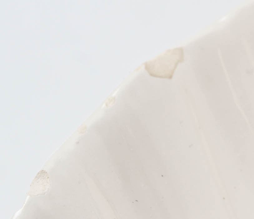 Collection of Decorative Seaside Items