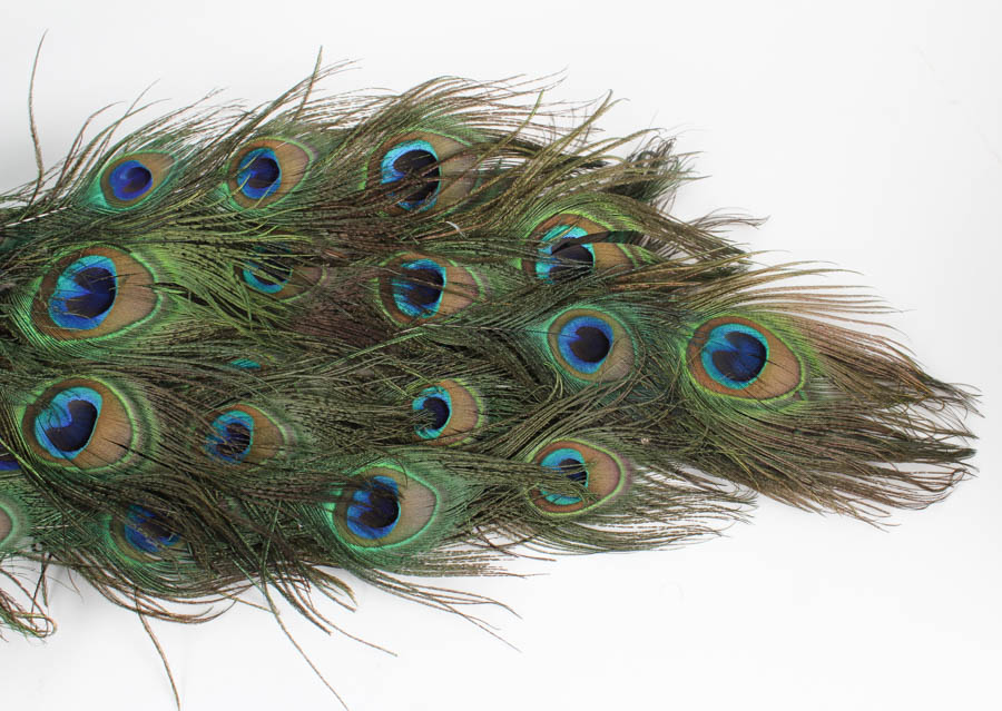 Feather and Sequin Peacock Accesories