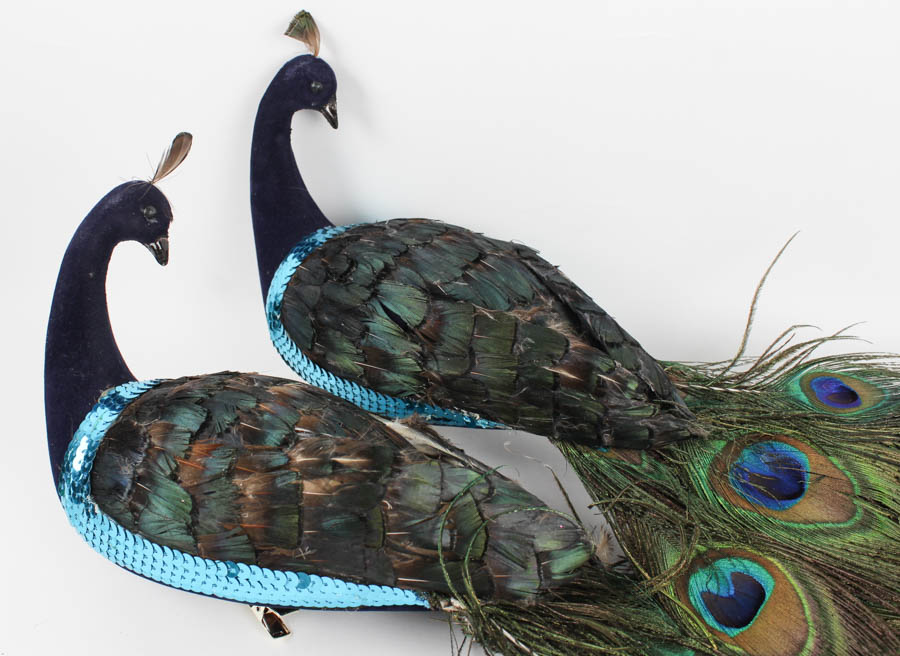 Feather and Sequin Peacock Accesories