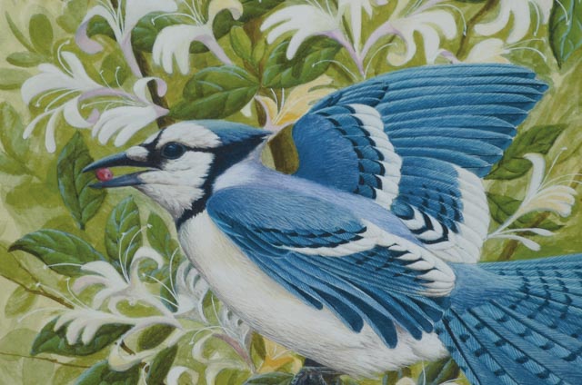 John Ruthven Signed Limited Edition Offset Lithograph "Blue Jay"