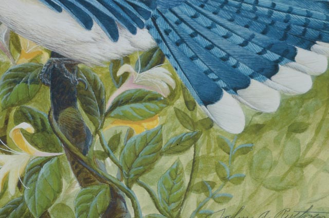 John Ruthven Signed Limited Edition Offset Lithograph "Blue Jay"