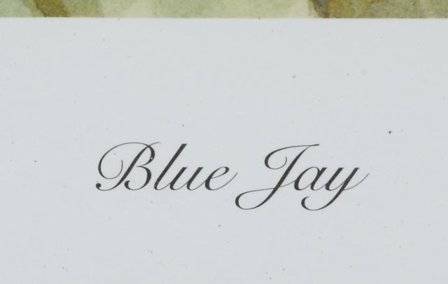 John Ruthven Signed Limited Edition Offset Lithograph "Blue Jay"