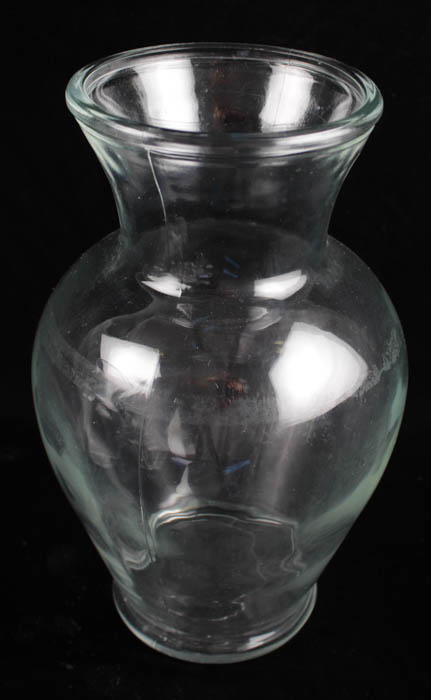 Glass Bulb Vase Collection
