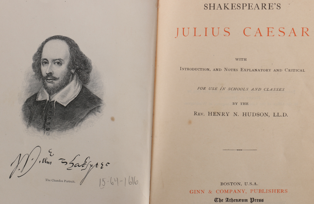 Assortment of Antique and Vintage Books