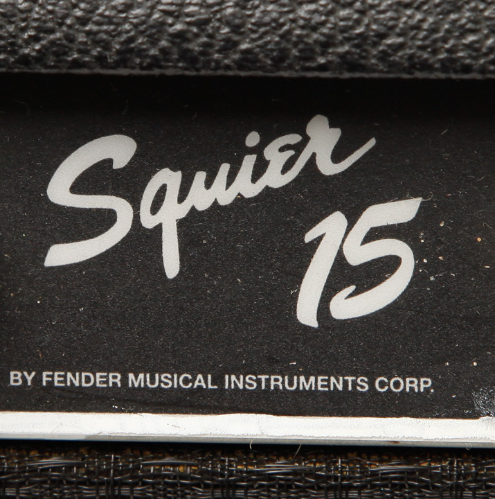 Gibson Maestro Electric Guitar With Amplifier and Case