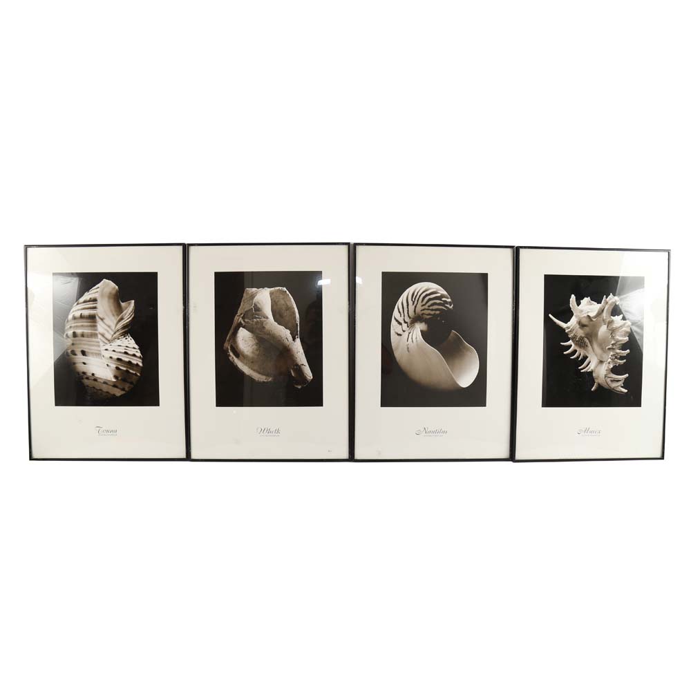 Set of Framed Sondra Wampler Offset Lithographs