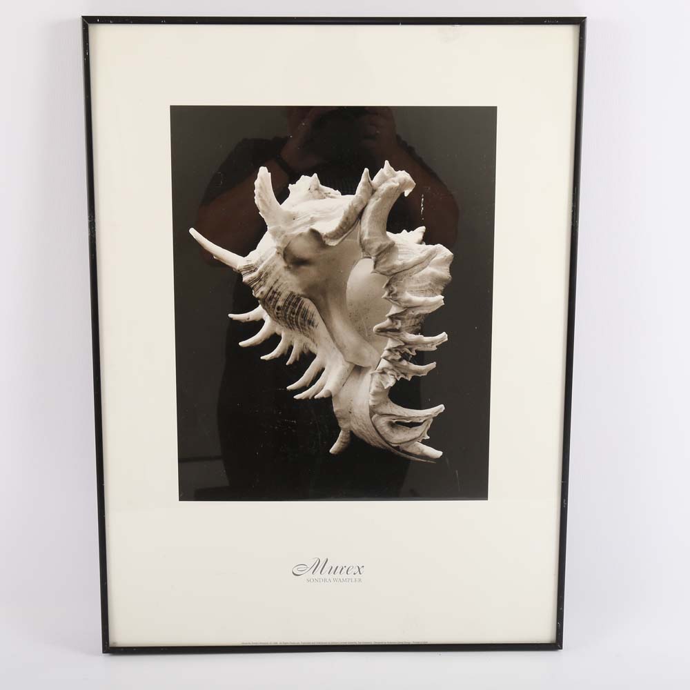 Set of Framed Sondra Wampler Offset Lithographs